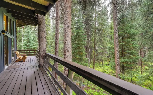 Mid-century Cabin: Creekside, Easy Access to I-70