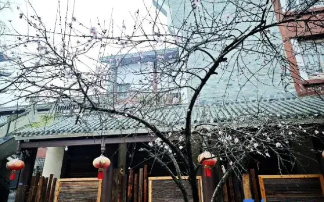 shengxilongHome hotel