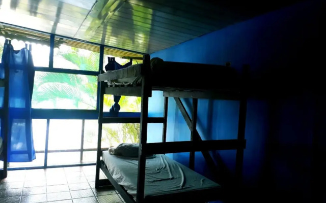 Beachfront manzanillo hotel - Hostel