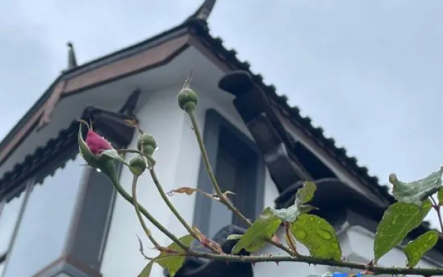 21 Degree Ju·Snow Mountain Courtyard (Lijiang Shuhe Ancient Town Branch)