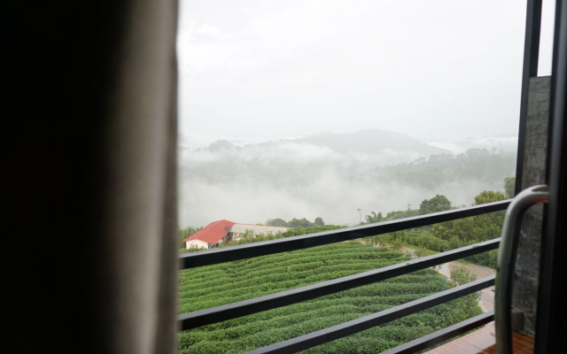 101 Tea Green View