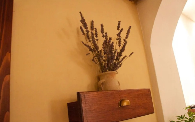 Hotel Stipe