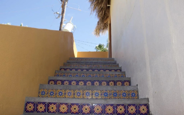 Las Palmas Tropicales