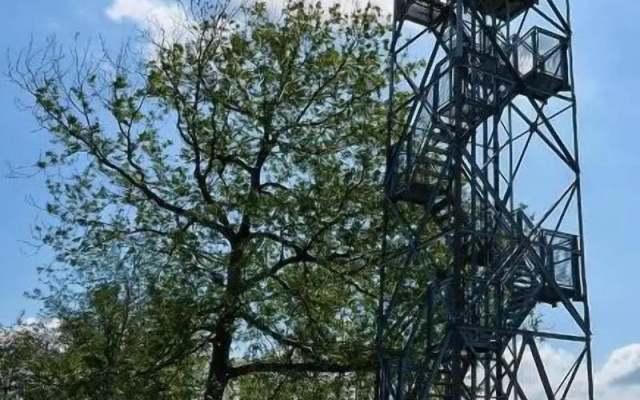 Hotel am Maibaum