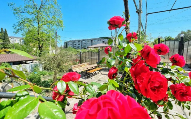 Guest House Rusalka