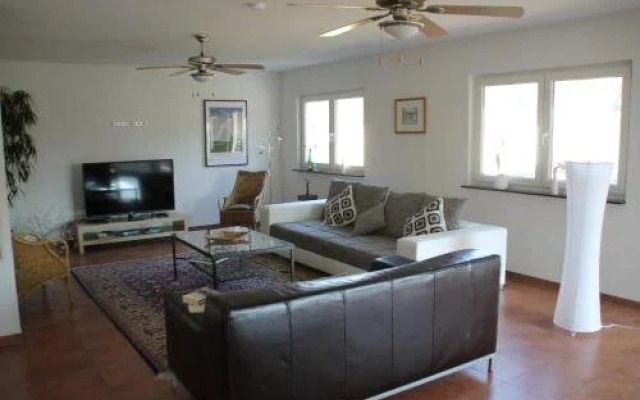 The Vines Holiday House