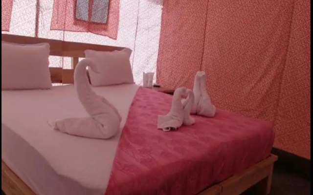 Pangong Heritage Camp