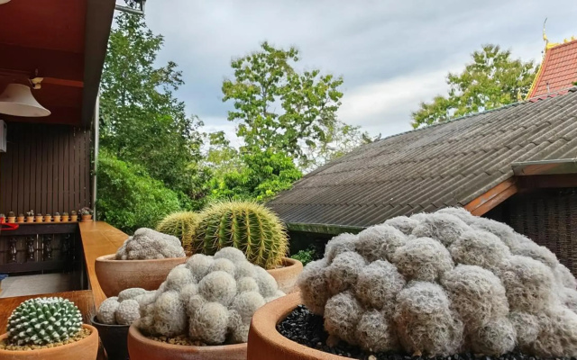 The Terrace Guesthouse