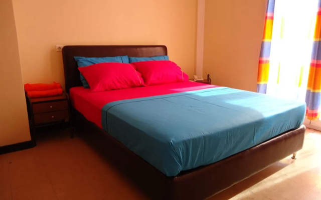 Paloma