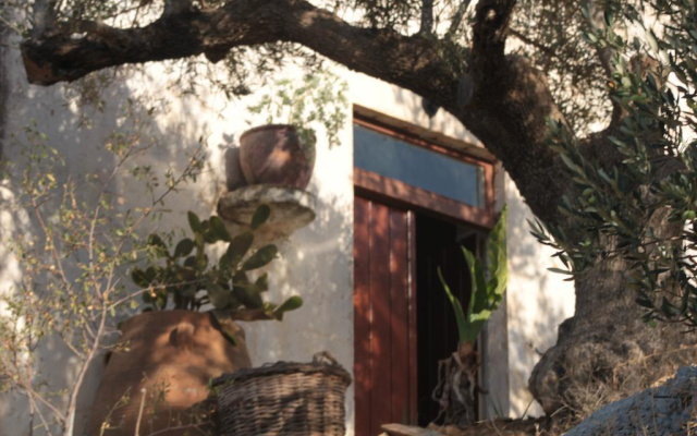 Tsikalaria Traditional Stone House