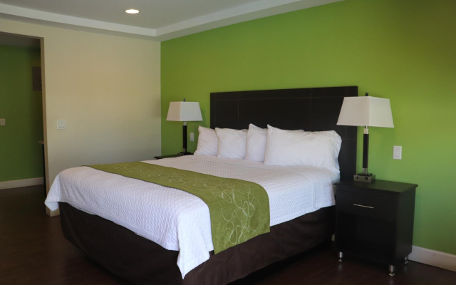 Curtis Inn & Suites