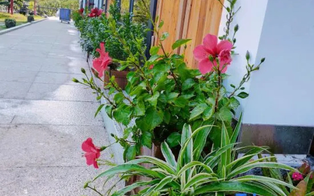 Yishui Yiju Boutique Homestay, Xihai, Lushan