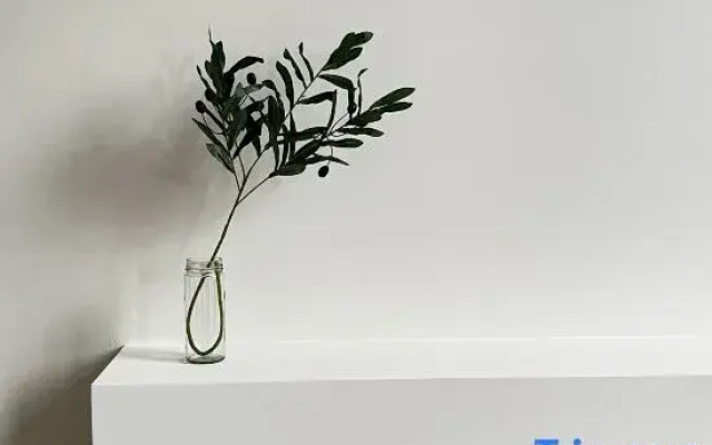 xianjulazy house guesthouse