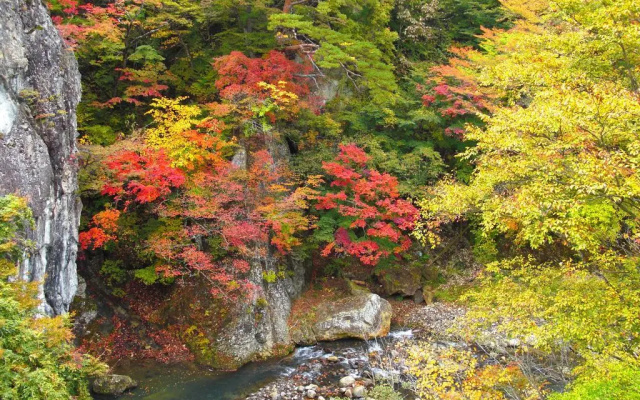 Shuzankata Sakamoto