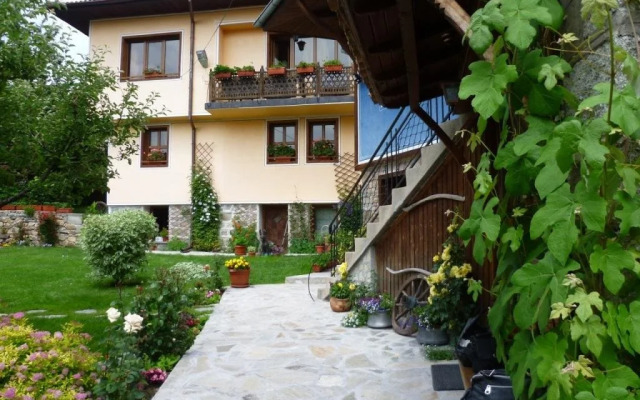 Guest House Stela