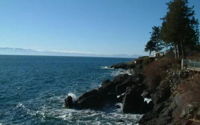 Orca View Cottage