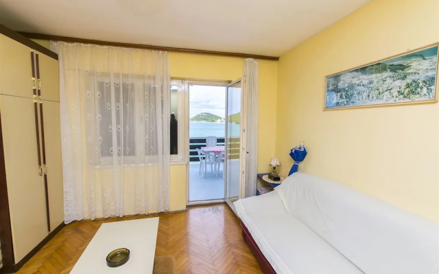 Apartment Branka