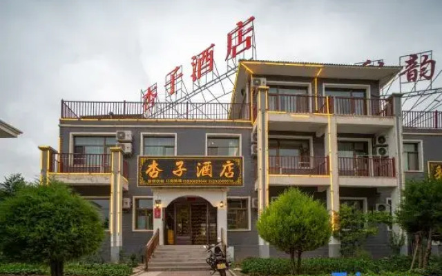 Qicai Danxia Apricot Hotel