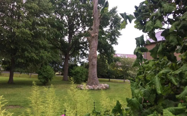 Fewo an der Mühle