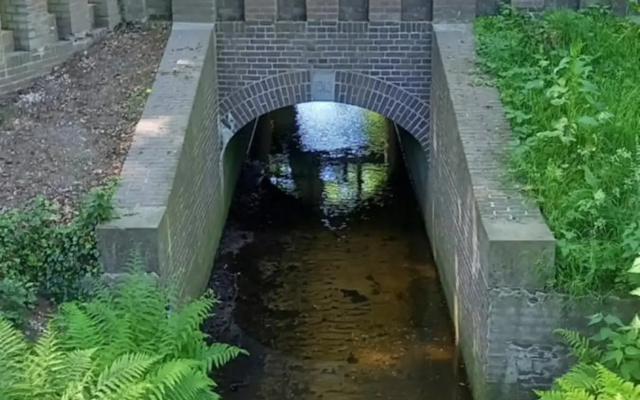 't Hertje