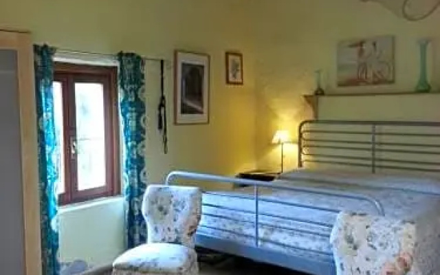 BB Palu