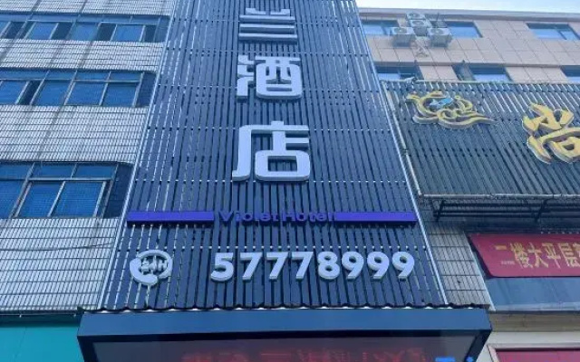 Violet Hotel