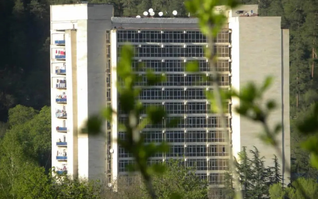 Rustaveli 107 Borjomi Georgia