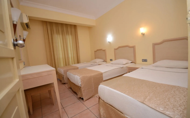 Alenz Suite