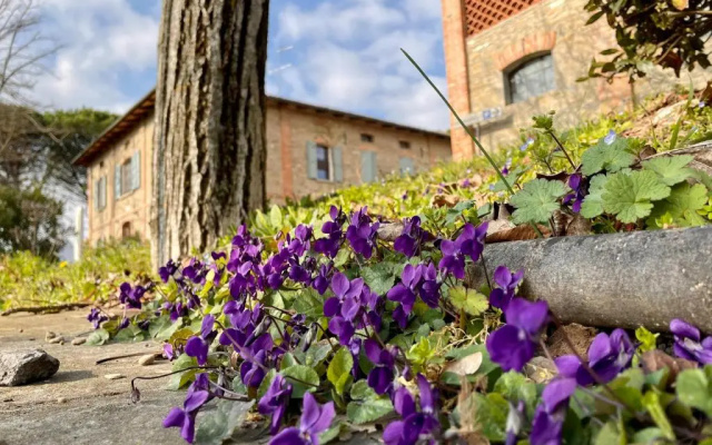 Il Cardello Locanda
