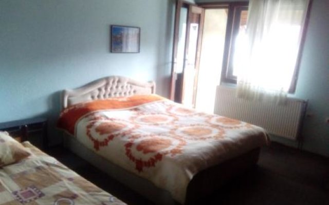 Guesthouse Andreja A in Zabljak, Montenegro from 62$, photos, reviews - zenhotels.com guestroom