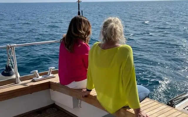 delphin 4 odysea it