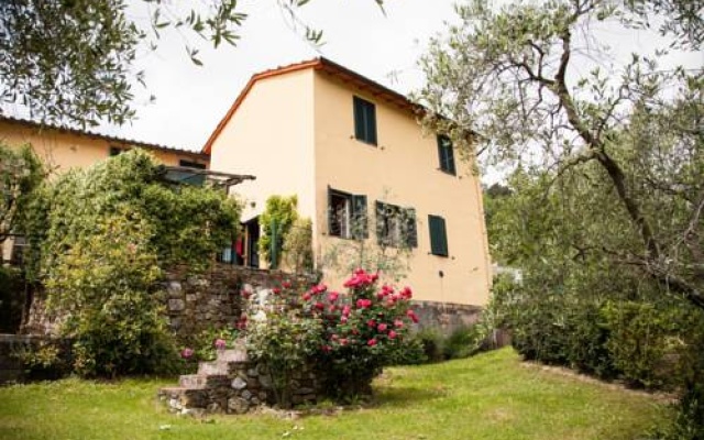 Tenuta Bellosguardo