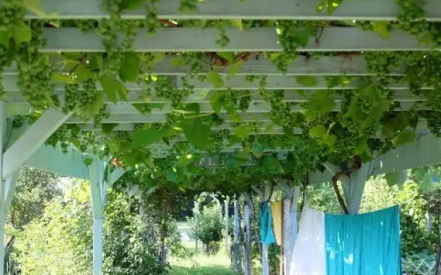 Le Clos du Ru