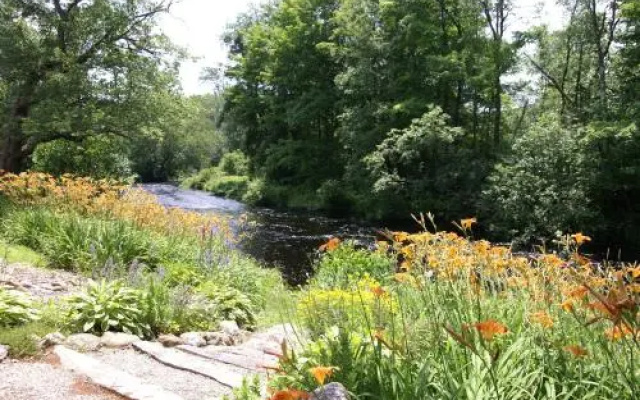 Little River Bed & Breakfast