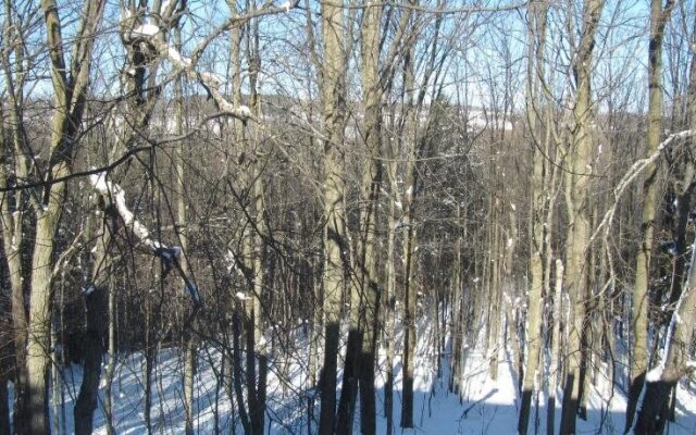 Sequel Inn Creemore