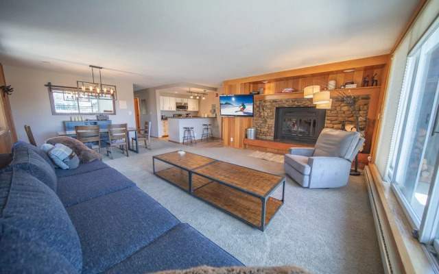Pines 2161