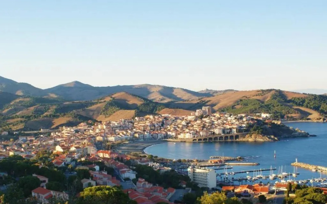 Appartement Banyuls-sur-Mer, 2 pièces, 4 personnes - FR-1-225C-320