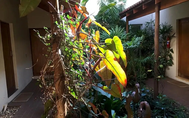 Tropical Paradise