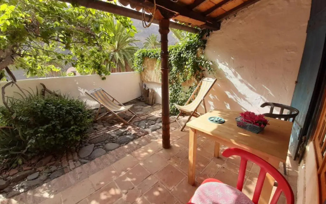 Casa Avocado