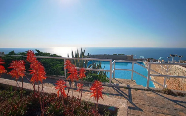 Don Carlos Pool Residence