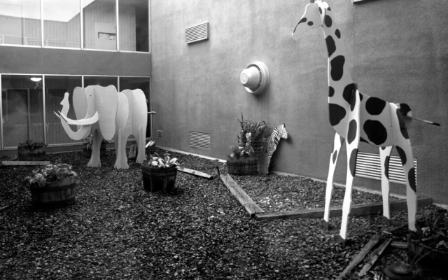 Safari Inn Downtown Boise