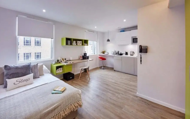 Beautiful Studio In Kingston Area