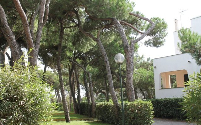Giulivo A3