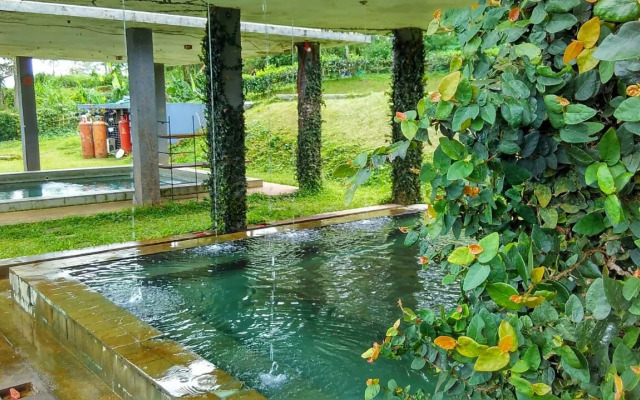 Tea Garden Resort