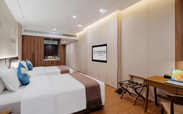 White Swan Guest House