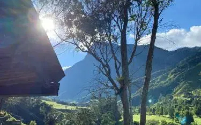 Cabañas Truchas Cocora