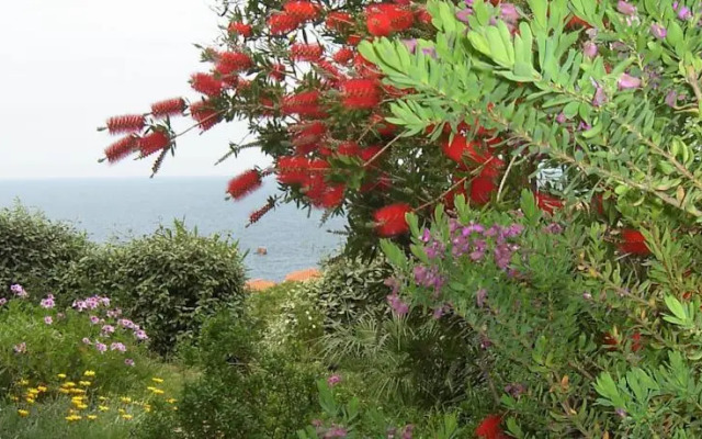 Casa Vacanza Hortensia