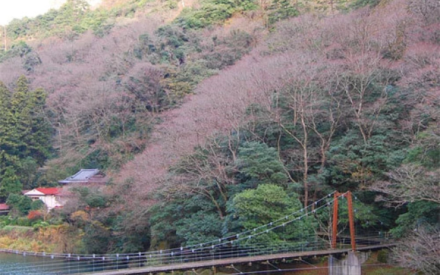 Tachikuekyo Onsen Hakkouen