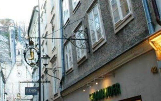 Отель Abc-altstadt-appartements Зальцбург вид на фасад