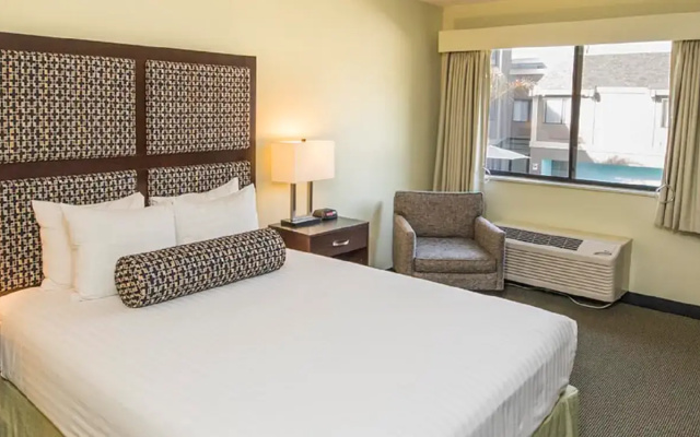 Maple Tree Inn